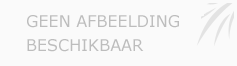 Afbeelding › Rediart Cankja